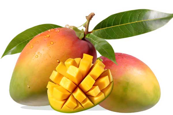Mango Tommy