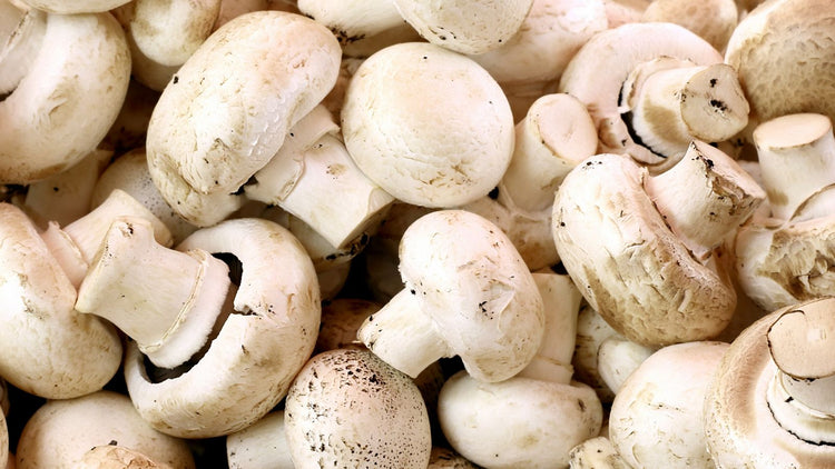Champiñones