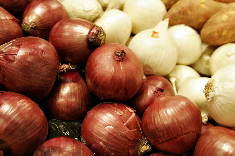 Cebollas