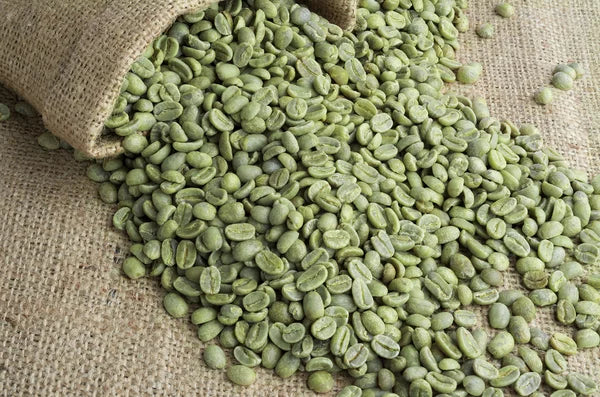 Café verde en grano o tostado