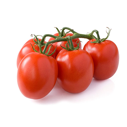 Tomate Chonto