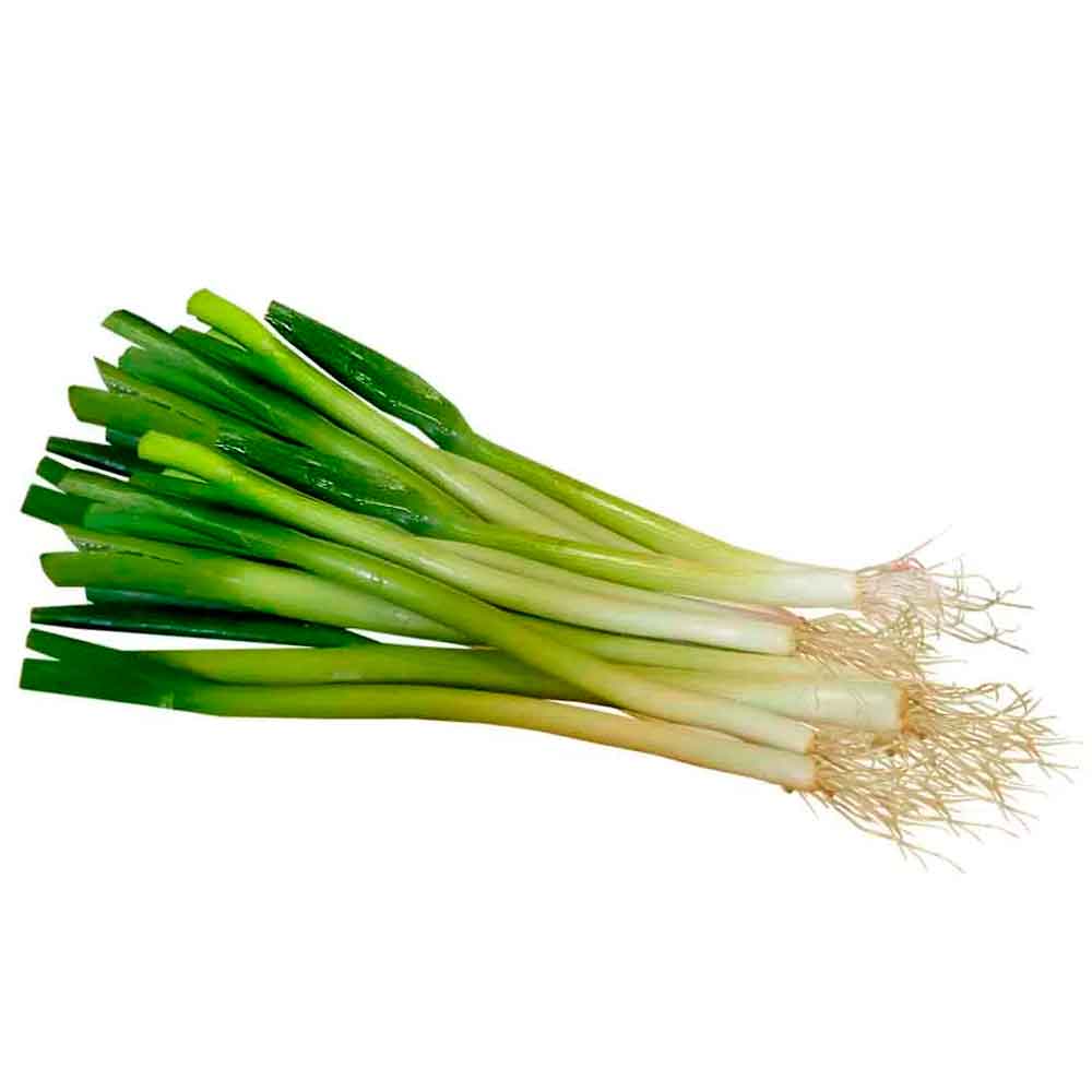 Cebolla Larga